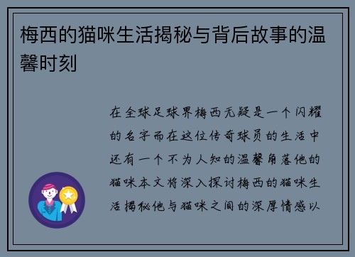 梅西的猫咪生活揭秘与背后故事的温馨时刻